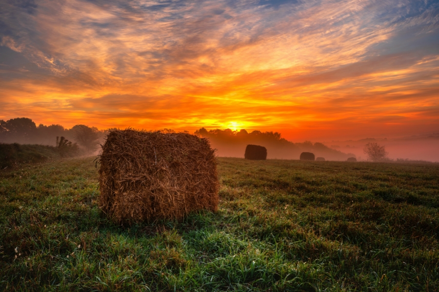 Nad stawami - gospodarstwo agroturystyczne